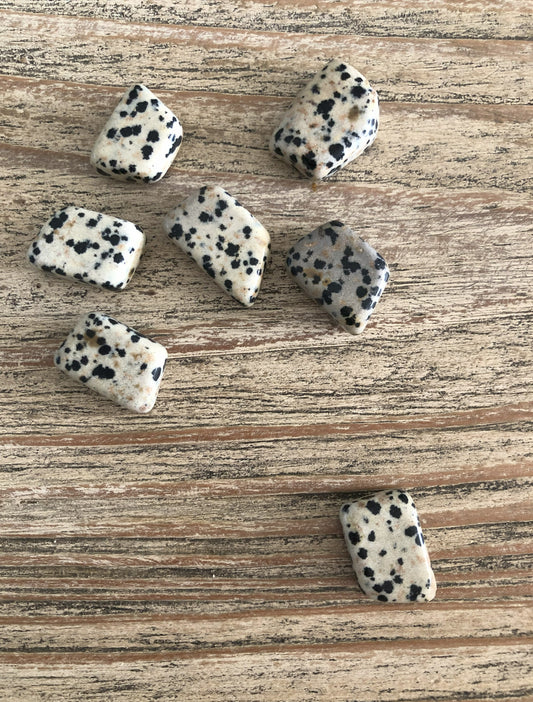 ⚪ Pierre roulée - Jaspe Dalmatien